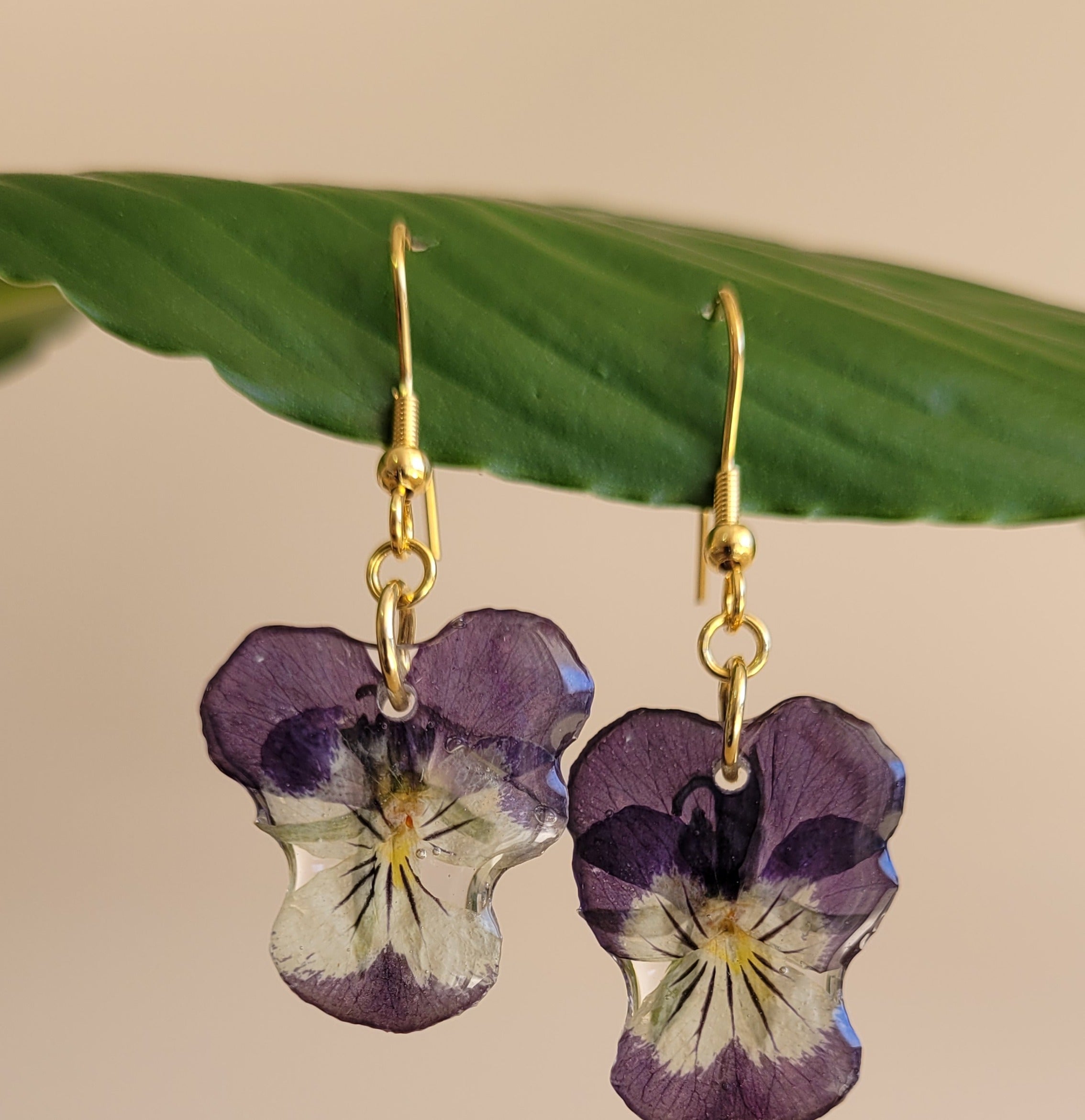 A pair of pressed purple and cream pansy earrings on gold hooks beneath a glossy green leaf.