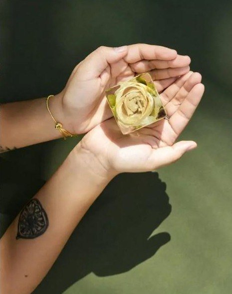 A white rose in a resin cube, held in two hands